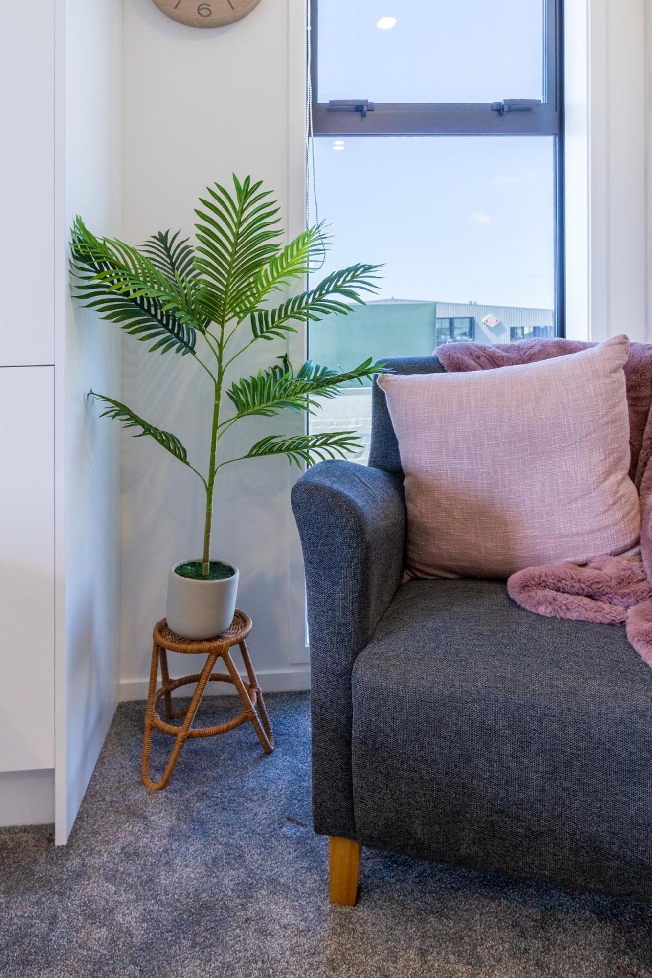 כרייסטצ'רץ' Studio Bliss: Explore From Wilmer St מראה חיצוני תמונה